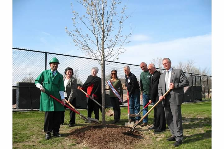 Arbor Day 2014