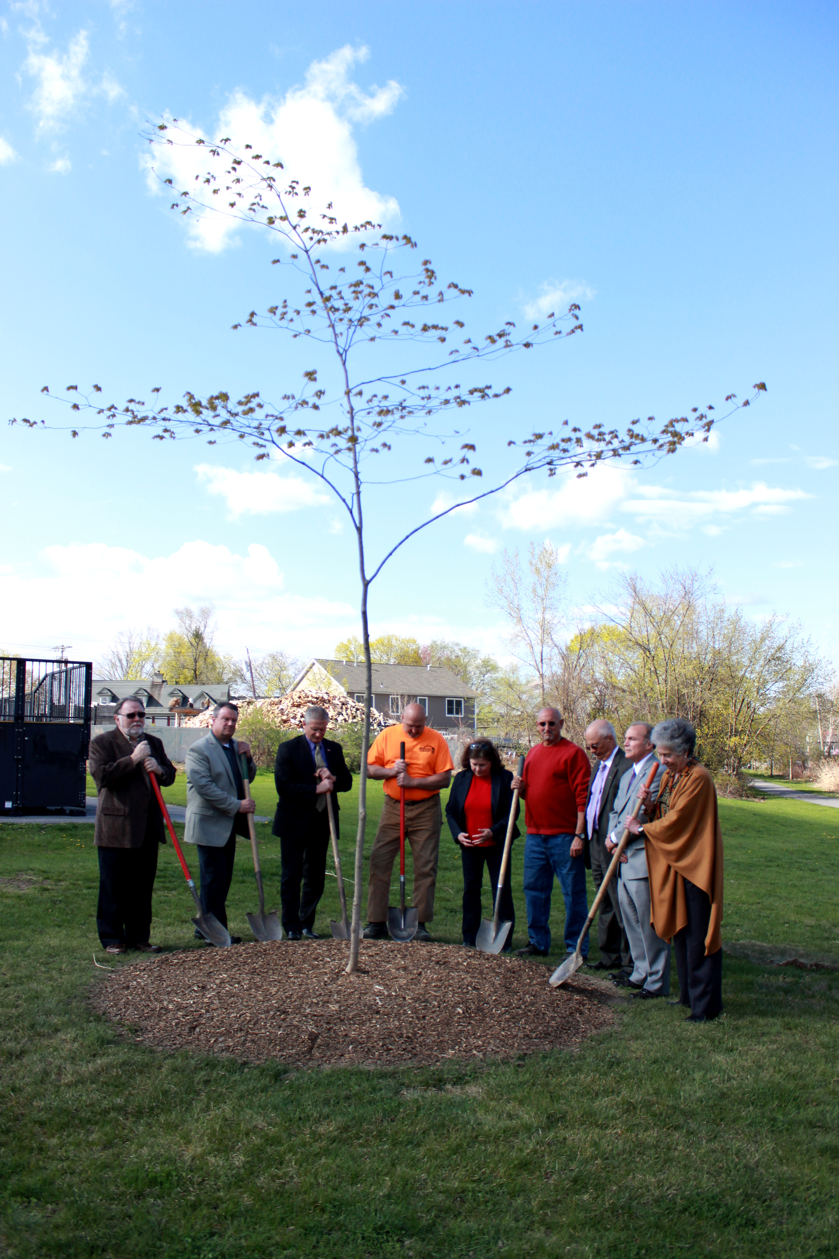 Town Officials Plant Tree in Memory of Lorraine DeSisto