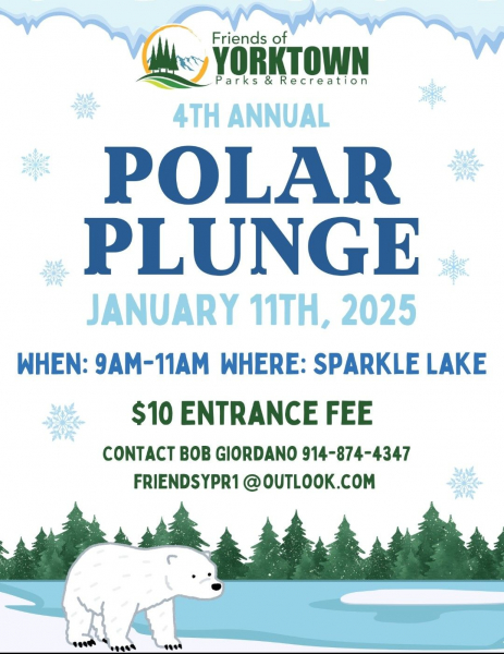 4th Annual Polar Plunge