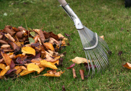 Organic Yard Waste & Leaves