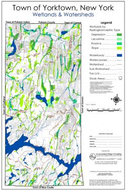 Freshwater Wetlands Functional Assessment Study