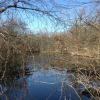 Sylvan Glen Park Preserve